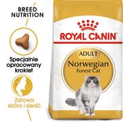 Sucha karma dla kotów - ROYAL CANIN Norvegian Forest Cat Adult 2kg + niespodzianka dla kota GRATIS! - miniaturka - grafika 1