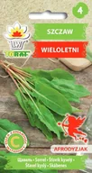 Nasiona i cebule - Szczaw Krwisty Nasiona - miniaturka - grafika 1
