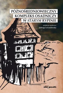 Późnośredniowieczny kompleks osadniczy w Starym Rypinie - Archeologia - miniaturka - grafika 1