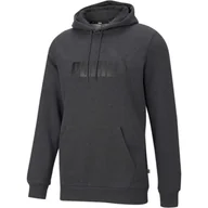 Bluzy sportowe damskie - Bluza z kapturem Puma Essentials Big Logo, Mężczyźni - miniaturka - grafika 1
