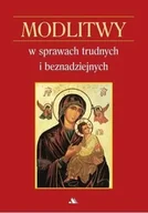 Religia i religioznawstwo - Modlitwy w sprawach trudnych i beznadziejnych - miniaturka - grafika 1