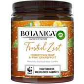 Świece - Air Wick Świeczka zapachowa Kandyzowana Pomarańcza i Marokańska Mięta Botanica 205 g - miniaturka - grafika 1