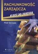 Finanse, księgowość, bankowość - Rachunkowość zarządcza. Klucz do sukcesu - miniaturka - grafika 1
