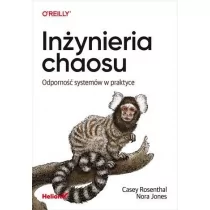 Inżynieria chaosu Odporność systemów w praktyce Nowa - Biografie i autobiografie - miniaturka - grafika 1