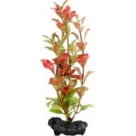 Dekoracje do akwarium - Ozdoba akwariowa DecoArt Plant L Red Ludwigia TETRA - miniaturka - grafika 1