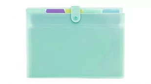 Teczka harmonijkowa A4 PP 5 przegródek pastel zielony BIURFOL THP-A4-04 - Teczki i skoroszyty - miniaturka - grafika 1