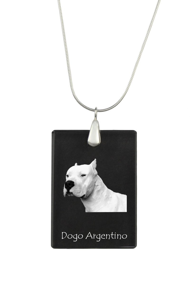 Dog argentyński, Dogo Argentino - kryształowa zawieszka z psem, srebrny naszyjnik ze zdjęciem, personalizowany wisiorek marki Art-Dog