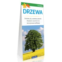 ExpressMap Drzewa - Expressmap - Rośliny i zwierzęta - miniaturka - grafika 1