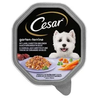 Mokra karma dla psów - Cesar Bogactwo ogrodu 14 x 150 g Jagnięcina, marchew i kolendra - miniaturka - grafika 1