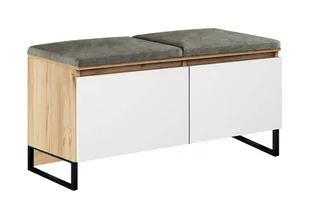 Agat  Sławomir Grzybek, Szafka na Buty z Siedziskiem, 37x61x100 cm - Szafki na buty - miniaturka - grafika 1