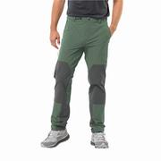 Spodnie sportowe męskie - Męskie spodnie trekkingowe Jack Wolfskin ANDUR PANTS M hedge green - 46 - miniaturka - grafika 1