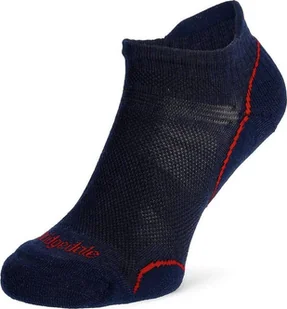 Bridgedale Skarpety Bridgedale Ultra Light T2 Merino Performance Low - navy/red 44 - 47 - Skarpety termoaktywne - miniaturka - grafika 1