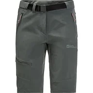 Spodenki damskie - Jack Wolfskin Ziegspitz szorty Slate Green 42 - miniaturka - grafika 1