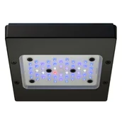 Pozostałe akcesoria do akwarium - Ecotech Marine Radion XR15 G6 BLUE - miniaturka - grafika 1