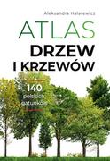 Poradniki hobbystyczne - Atlas drzew i krzewów - miniaturka - grafika 1