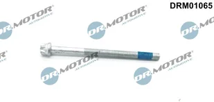 Śruba, wtryskiwacz Dr.motor Automotive DRM01065 - Układ zasilania - akcesoria - miniaturka - grafika 1