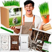 Nasiona i cebule - TRAWA DLA KOTA ODKŁACZAJĄCA DUŻY ZESTAW KOCI PRZYSMAK ZESTAW DO UPRAWY - miniaturka - grafika 1