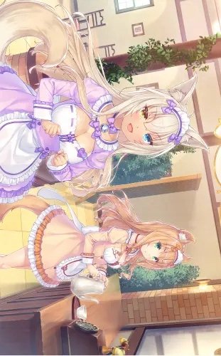 Plakat Anime Manga Nekopara np_086 A1+ (custom)