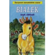 Literatura przygodowa - Białek kucyk z Gotlandii - miniaturka - grafika 1
