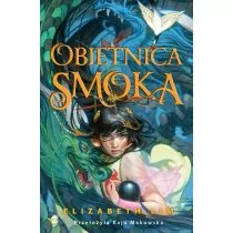 Obietnica smoka - Literatura obyczajowa - miniaturka - grafika 1