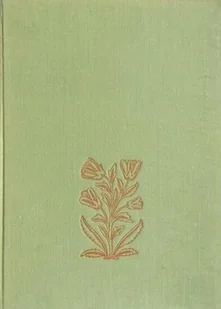 Orient w polskiej kulturze artystycznej - Książki o kulturze i sztuce - miniaturka - grafika 1