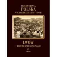 Albumy o  sztuce - WYDAWNICTWO LIBRA LWÓW I WOJEWÓDZTWO LWOWSKIE - miniaturka - grafika 1