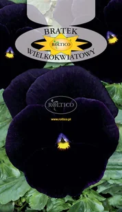 BRATEK OGRODOWY GRANAT 0,5g - Nasiona i cebule - miniaturka - grafika 1