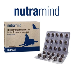 NUTRAVET Nutramind For Dogs & Cats 45kaps- Naturalne wsparcie funkcjonowania mózgu, treningu i procesu uczenia się - Suplementy i witaminy dla psów - miniaturka - grafika 2