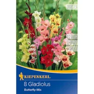 Nasiona i cebule - Mieczyk mieszanka - miniaturka - grafika 1