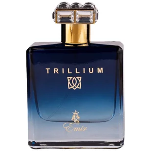 Emir Trillium woda perfumowana 100 ml - Wody i perfumy męskie - miniaturka - grafika 1