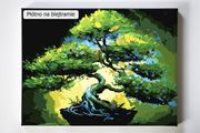 Malowanie po numerach - Zielony Bonsai, drzewko, Japonia, malowanie po numerach - miniaturka - grafika 1