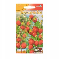 Nasiona i cebule - Poziomka Rugia nasiona 0,2 g p. 9-0051-68901-01 - miniaturka - grafika 1