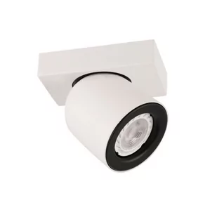 Italux Spot LAMPA sufitowa NUORA SPL-2855-1B-WH metalowa OPRAWA regulowany reflektorek plafon biały czarny SPL-2855-1B-WH - Lampy sufitowe - miniaturka - grafika 1