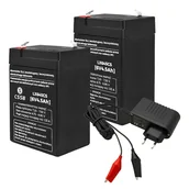 Zabawki zdalnie sterowane - 2x Akumulator żelowy CSSB 6V 4.5Ah + ładowarka - miniaturka - grafika 1