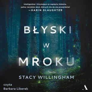 Błyski w mroku - Audiobooki - kryminał, sensacja, thriller - miniaturka - grafika 1