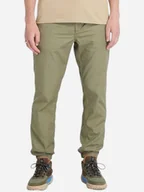 Spodnie męskie - Spodnie męskie Timberland TB0A6V8P L Khaki (197063756217) - miniaturka - grafika 1
