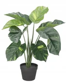 Sztuczne kwiaty - DIFENBACHIA W DONICZCE SZTUCZNE KWIATY JAK ŻYWA - miniaturka - grafika 1