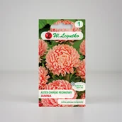 Nasiona i cebule - Aster chiński peoniowy Janina Łososiowy 1g - Nasiona - W. Legutko - miniaturka - grafika 1