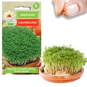 Nasiona i cebule - Rzeżucha Lepidium sativum - miniaturka - grafika 1