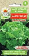 Nasiona i cebule - Sałata Masłowa Marta Zielona Lactuca Sativa L. - miniaturka - grafika 1