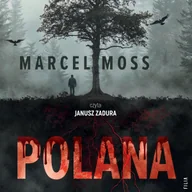 Audiobooki - kryminał, sensacja, thriller - Polana - miniaturka - grafika 1