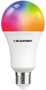 Żarówki LED - Żarówka Blaupunkt E27-9W-SMART LED 9W 3000K-6500K kolorowa - miniaturka - grafika 1
