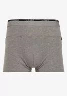 Majtki męskie - Szare Bawełniane Majtki Bokserki z Ozdobnym Napisem i Szeroką Gumką w Pasie Blinsea - miniaturka - grafika 1