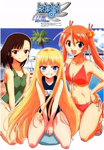 Plakat Magister Negi Magi MSN_016 A2 (custom)