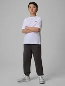 Spodnie i spodenki dla chłopców - 4F Spodnie dresowe joggery chłopięce - szare 164 (13-14 lat) - miniaturka - grafika 1