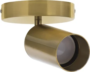 Kinkiet Activejet Kinkiet pojedynczy złoty sufitowy ścienny Activejet SPECTRA reflektor GU10 do salonu - Lampy sufitowe - miniaturka - grafika 1