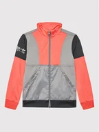 Bluzy dla chłopców - Adidas Bluza Adventure HE2065 Kolorowy Regular Fit - miniaturka - grafika 1