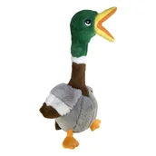 Zabawki dla psów - Kong Shakers Honkers Duck L 26cm zabawka do gryzienia - miniaturka - grafika 1