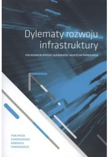 Dylematy rozwoju infrastruktury - Zarządzanie - miniaturka - grafika 1