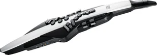 Roland Aerofon AE-20 AE-20 - Instrumenty dęte - miniaturka - grafika 1